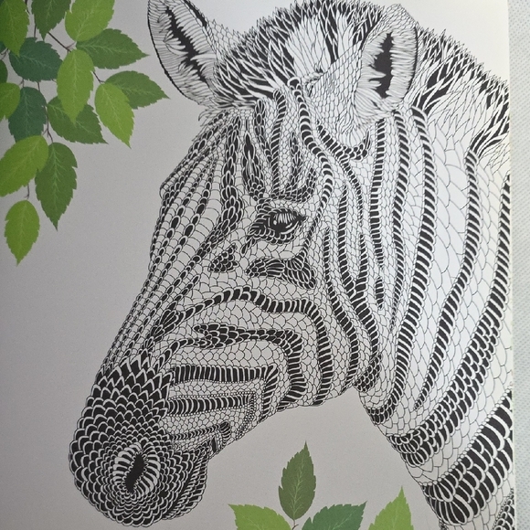 Set of Two Adult Coloring Books - The Menagerie and Magic Garden - Picture 15 of 16